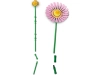 720690-4.webp