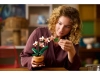 720692-4.webp