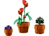 720697-3.webp
