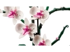 720699-3.webp