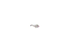720785-2.webp