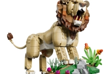 720796-0.webp