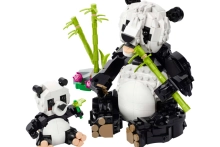 720821-0.webp