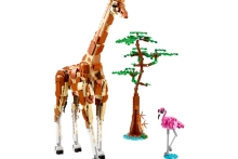 720829-0.webp