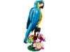 720833-2.webp
