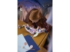 720846-10.webp