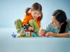 720950-2.webp