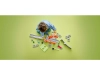 720953-6.webp