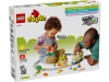 720954-5.webp