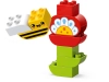 720958-2.webp