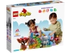 720983-5.webp