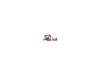 721076-2.webp
