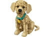 721148-1.webp