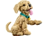 721148-4.webp