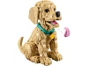 721148-6.webp