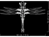 721162-7.webp