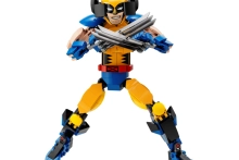 721240-0.webp