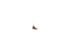 721329-2.webp