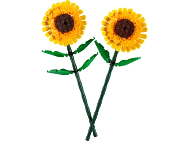 721350-0.webp