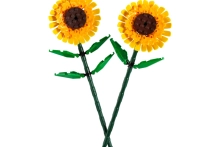 721350-0.webp