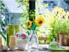 721350-3.webp