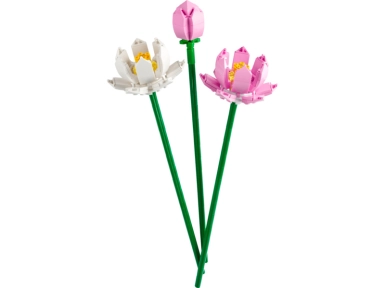 721351-0.webp