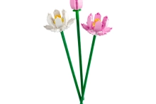 721351-0.webp