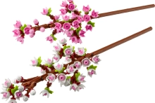 721352-0.webp