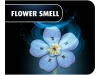 721932-3.webp