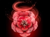721933-2.webp