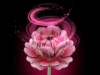 721934-2.webp