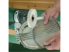 722850-2.webp