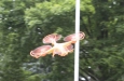 723895-9.webp