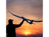 723927-3.webp