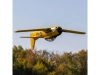 724017-5.webp