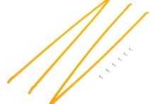 724195-0.webp