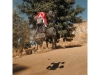 726946-4.webp