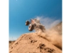 727016-2.webp