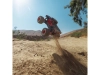 727083-2.webp