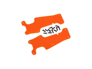 728231-0.webp