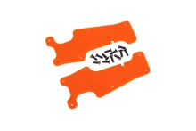 728231-0.webp