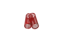 728910-0.webp
