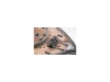 732663-7.webp