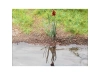 733369-2.webp