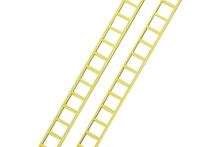 736250-0.webp