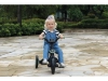 736435-20.webp