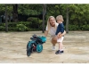 736435-41.webp