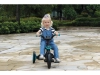 736435-46.webp
