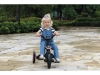 736435-70.webp