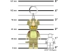 736824-5.webp